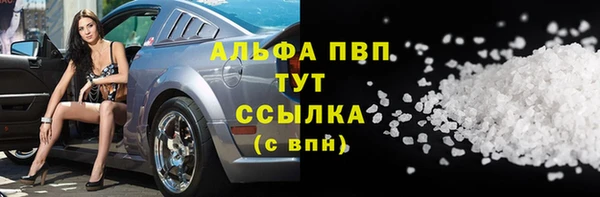 бошки Бородино