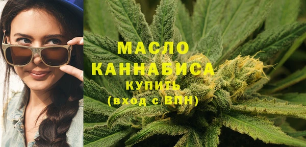 бошки Бородино