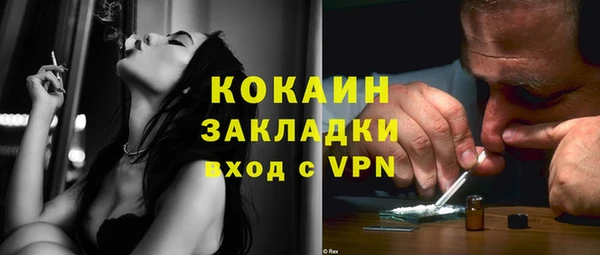 бошки Бородино