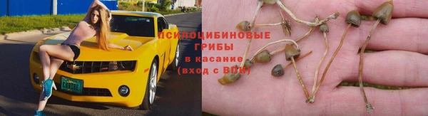 бошки Бородино