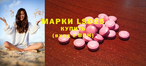бошки Бородино