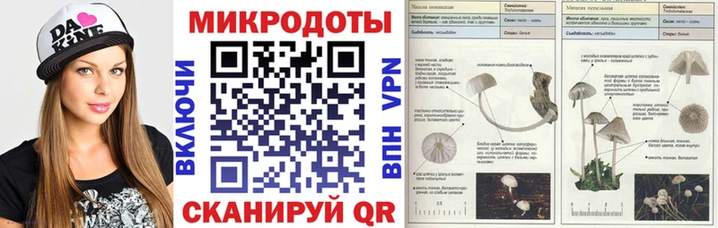 ОМГ ОМГ ссылки  Магнитогорск  Псилоцибиновые грибы Psilocybe 